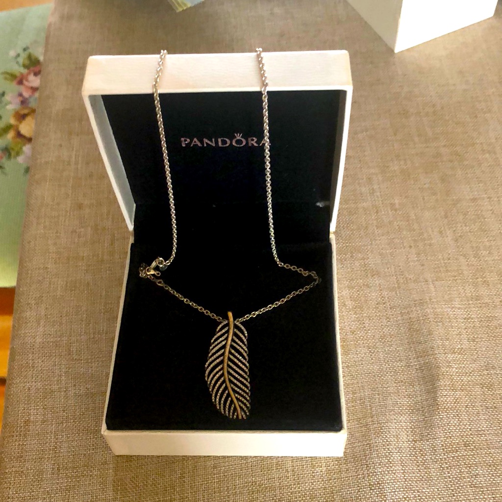 Euc Pandora Retired Light As A Feather Necklace